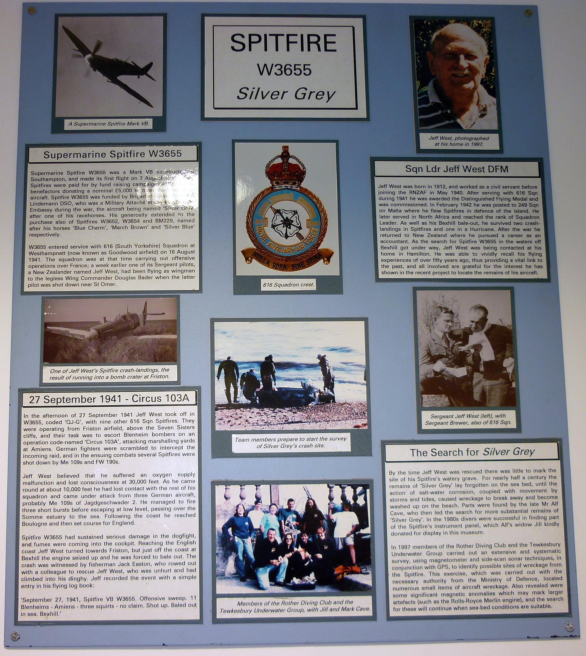 Silver Grey - Bexhill Museum